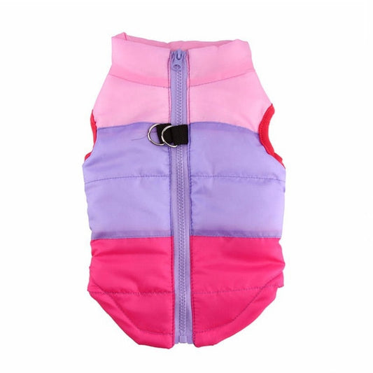 Zipper Printing Pet Coat