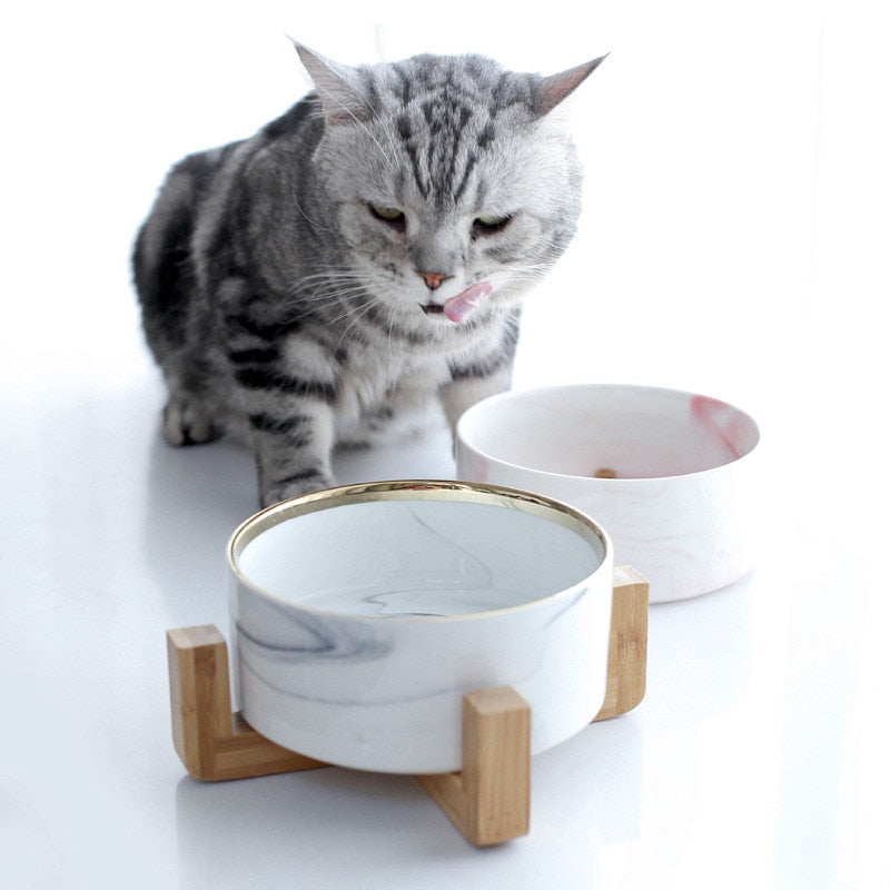 Pet Bowl