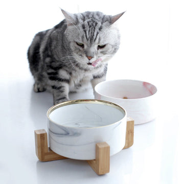 Pet Bowl