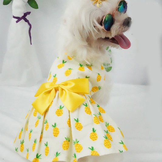 Summer Printed Pet Dress