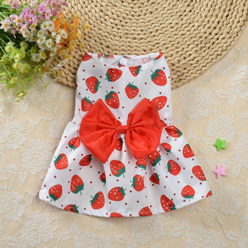 Summer Printed Pet Dress