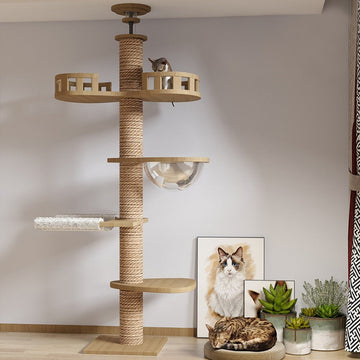 Cat Tree