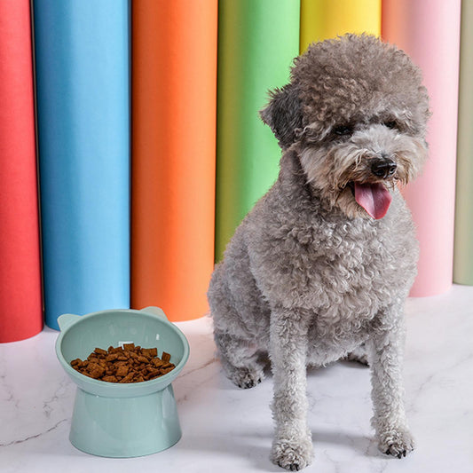 Anti-spill Feeding Bowl