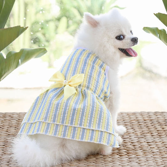 Adorable Pet Attire